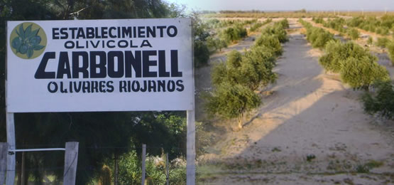 EMPRESA